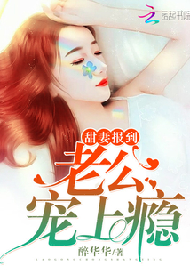 甜妻报到:老公,宠上瘾