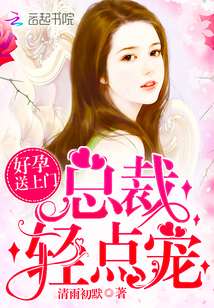 好孕送上门:总裁,轻点宠